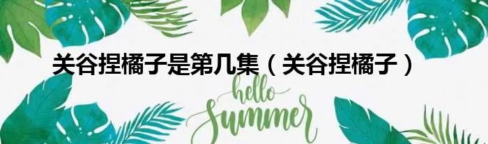 关谷捏橘子是第几集（关谷捏橘子）