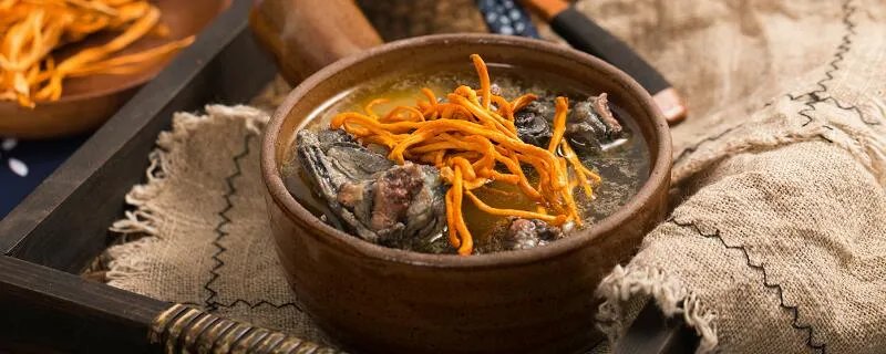 乳鸽汤的做法与功效