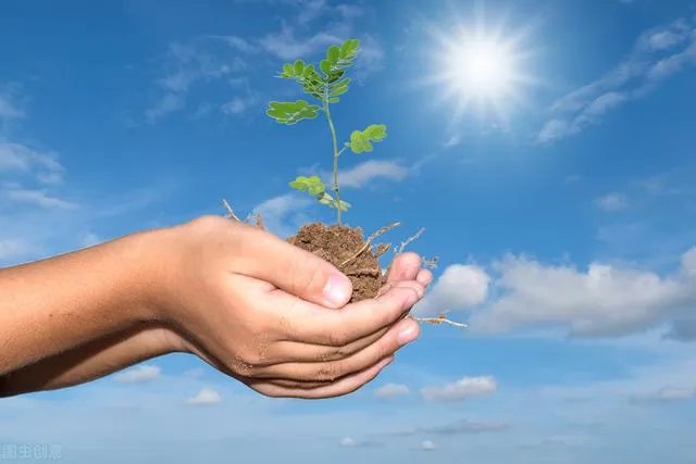 我是个铁石心肠的人，能推荐一个让我感动落泪的电影吗？