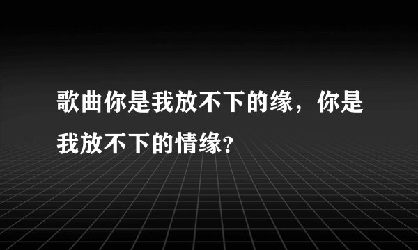 歌曲你是我放不下的缘，你是我放不下的情缘？