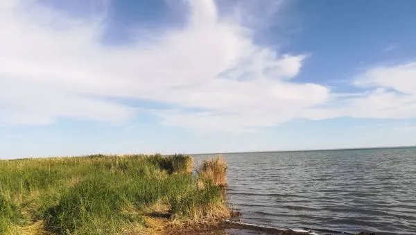 北京西直门桥那 查车特别严。金杯面包 查。小箱货6点之前 也要查？为什么呢