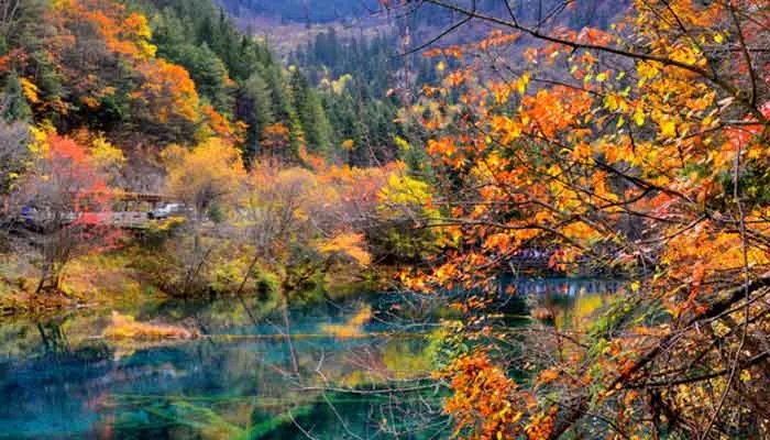 十一月份适合去哪里旅游 十一月中旬去哪旅游