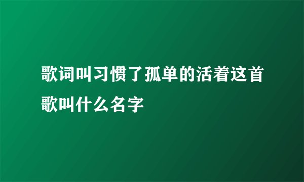 歌词叫习惯了孤单的活着这首歌叫什么名字