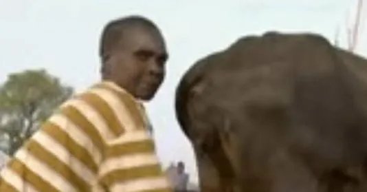 男子对牛屁股吹气 下秒奇迹发生了(图)