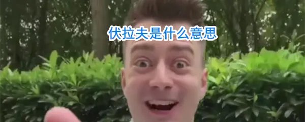 伏拉夫是什么意思