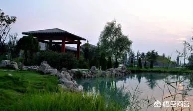 苏洵二十七始发愤的原因是什么？