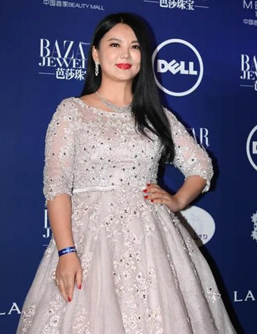 女主播李湘2胎怀孕几个月了？ 二胎预产期揭秘