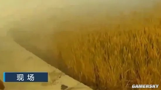 男子带儿子体验烤红薯引发火灾 为了儿子写好作文