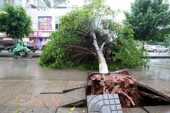 台风将登陆海南，为什么台风总是去海南？