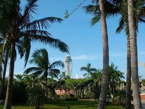 海口拍婚纱照好么  省钱又漂亮的婚照外景地推荐