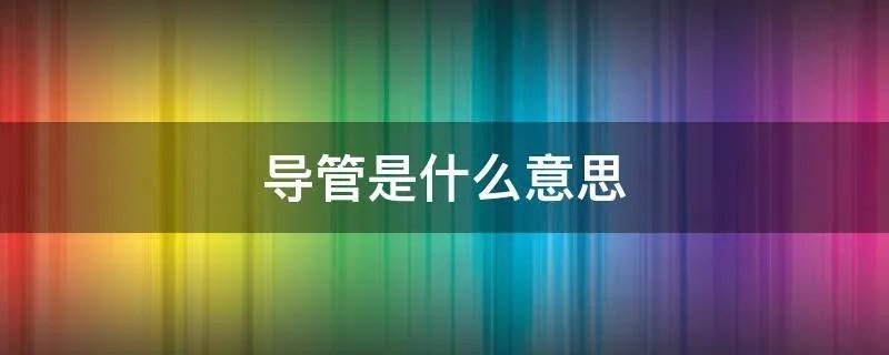 导管是什么意思