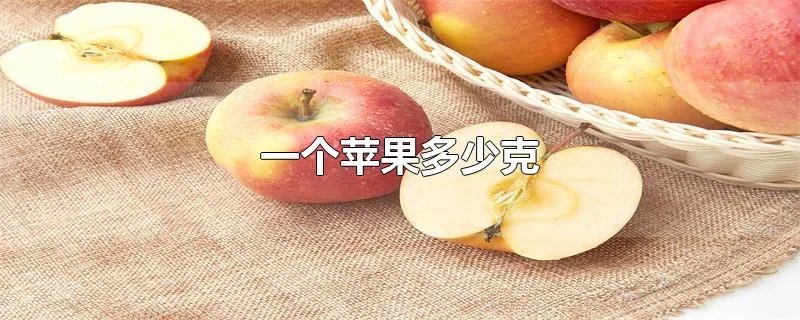一个苹果多少克