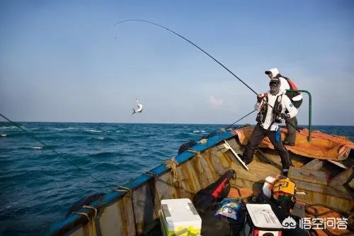 浮游矶钓如何知道鱼咬钩？