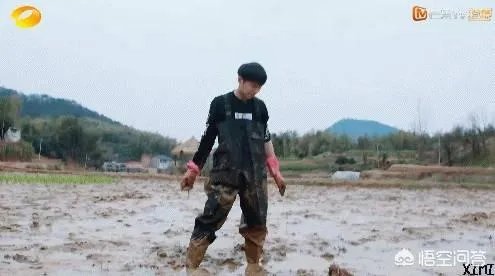 上海戏剧学院当明星