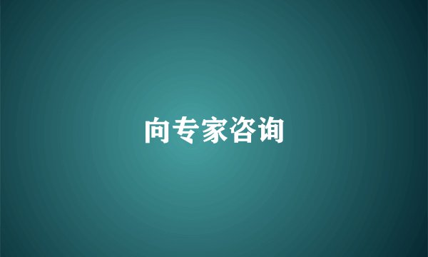 向专家咨询
