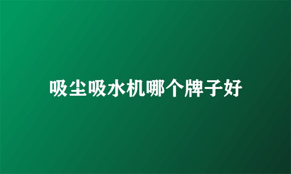 吸尘吸水机哪个牌子好