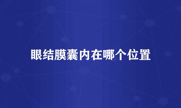 眼结膜囊内在哪个位置