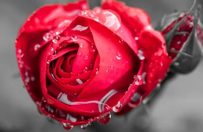 嫁女儿父亲在婚礼上怎样说 女儿婚礼妈妈讲话精选