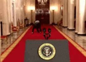 求奥巴马翻跟头到讲台前说：我来了；（GIF动态图）