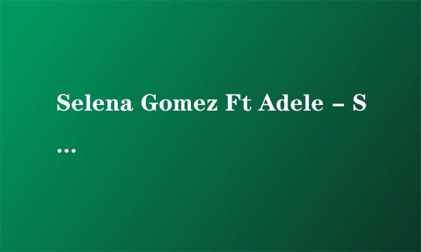 Selena Gomez Ft Adele - Set Fire to the Love Song 中文歌词