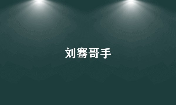 刘骞哥手