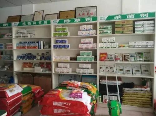 县城卖什么最赚钱?