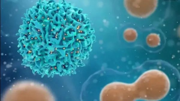 满洲里新增本土34例，他们的调流轨迹是怎样的？