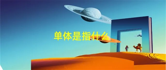 单体是指什么