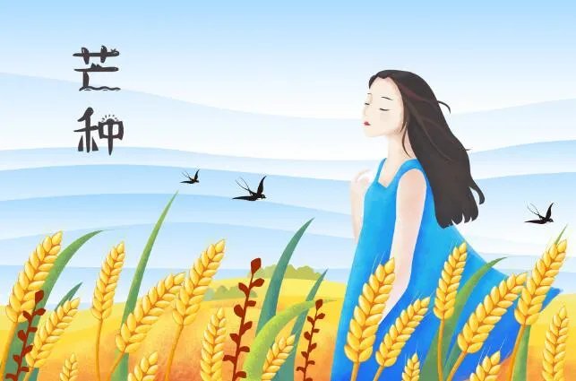 关于芒种有诗意的句子 描写芒种节气的优美句子