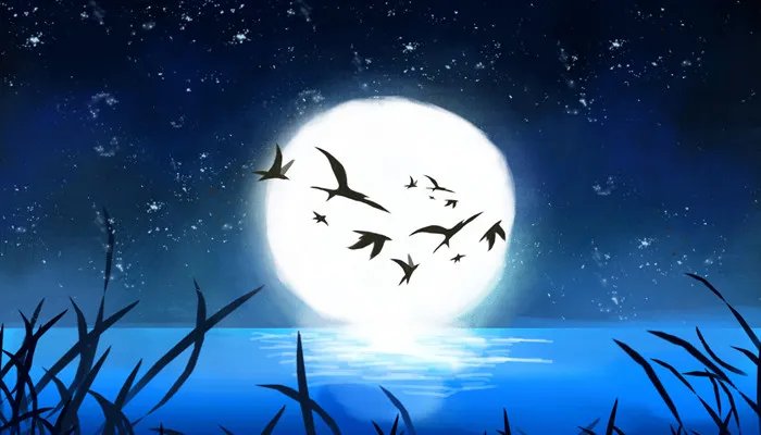 爱屋及乌是什么意思 爱屋及乌是什么意思解释