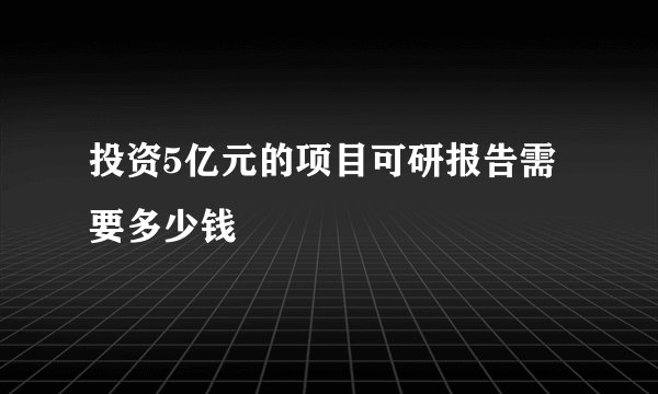 投资5亿元的项目可研报告需要多少钱