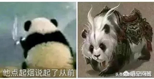 合肥师范学院和安师大学相比哪个更好？