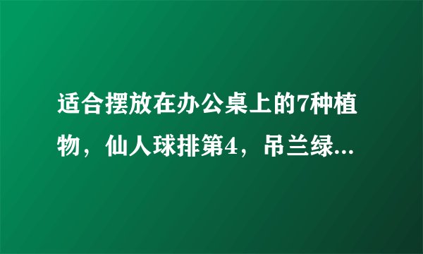 适合摆放在办公桌上的7种植物，仙人球排第4，吊兰绿萝未上榜