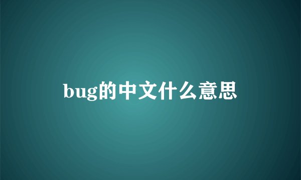 bug的中文什么意思