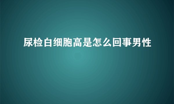 尿检白细胞高是怎么回事男性