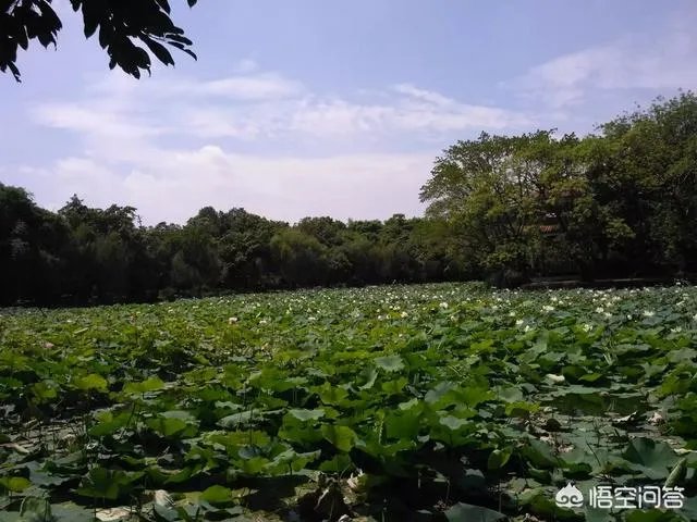 冒菜加盟需要多少钱？