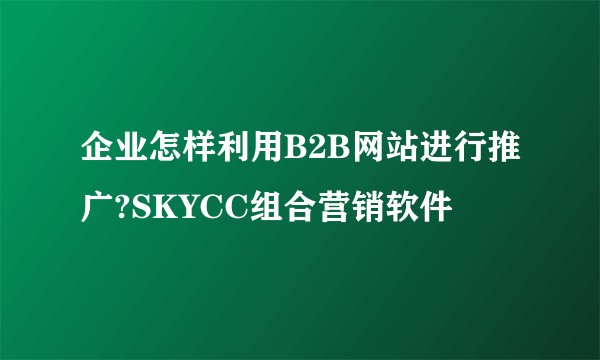 企业怎样利用B2B网站进行推广?SKYCC组合营销软件