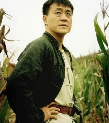 何冰主演的电视剧都有哪些?