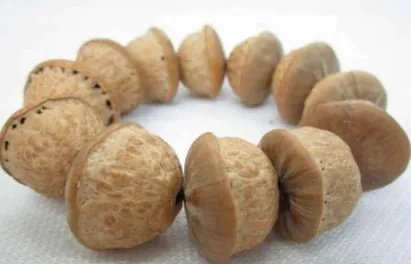 菩提子有哪些种类？菩提子种类大全图片介绍！