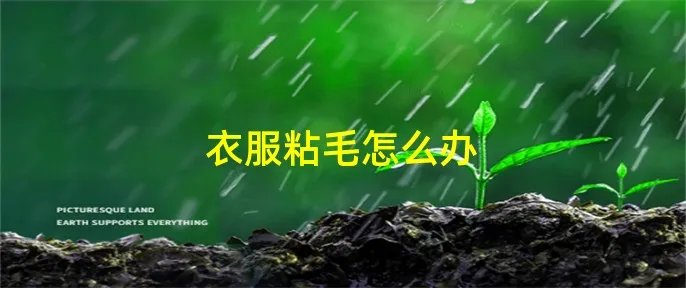 衣服粘毛怎么办