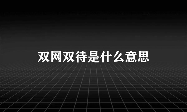 双网双待是什么意思
