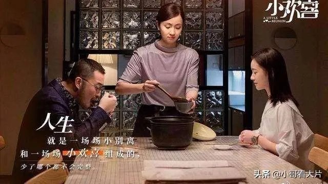 电视剧《小欢喜》主要讲述一个什么故事？其中三家生活你最喜欢哪一家的？