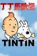 丁丁是什么意思.