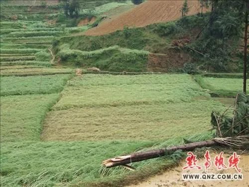 日落香残，免去凡心一点。求下联？