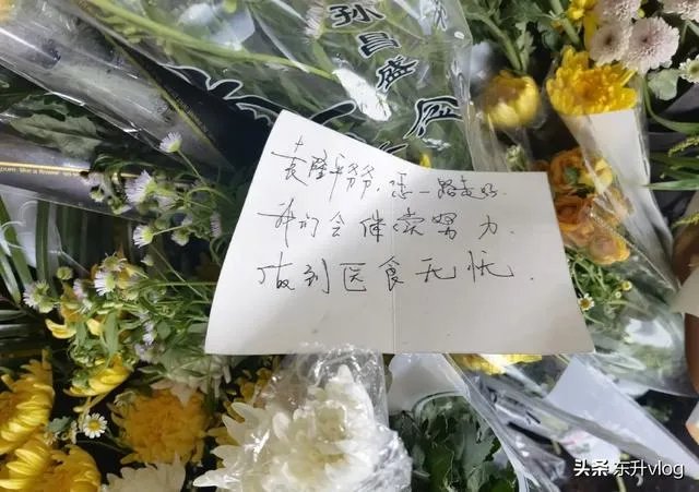 袁隆平院士逝世，为什么张庭照常直播被网友骂哭？