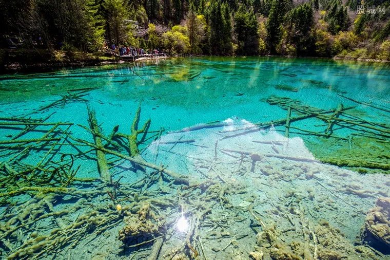 九寨沟开放首日 3月门票价格40元每天限接待2千人