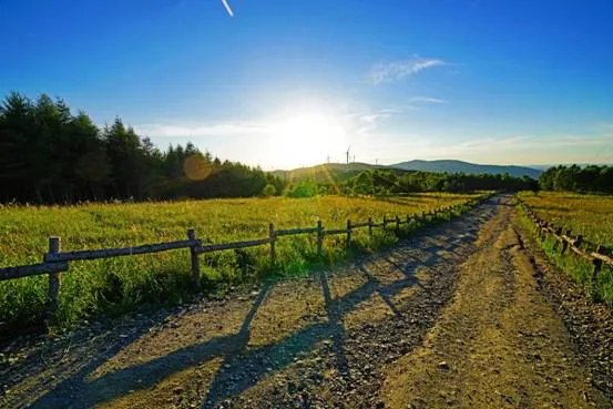 摄影名家谈索尼三剑客镜头之SEL1635Z(下)