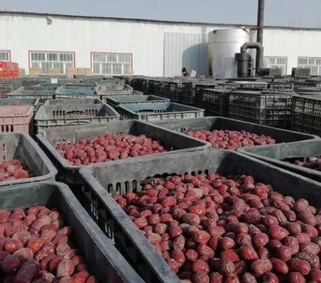 喀什的“土品种”有哪些？