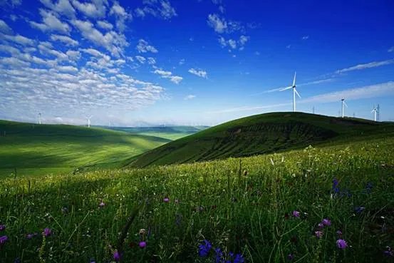 摄影名家谈索尼三剑客镜头之SEL1635Z(下)