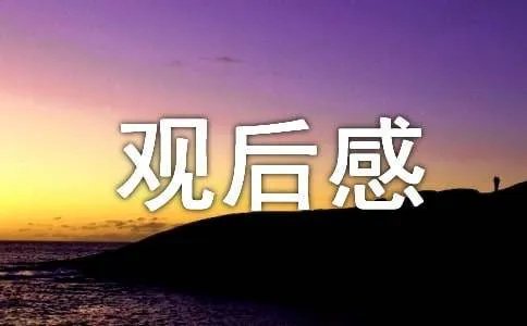 《永不妥协》观后感